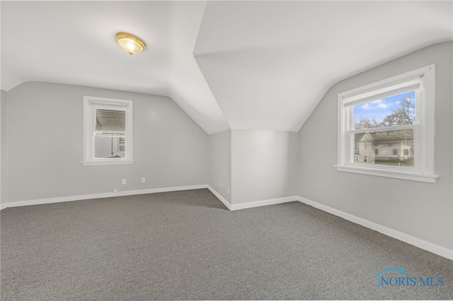 259 W Elm St, Wauseon, OH 43567 - additional living space featuring lofted ceiling, baseboards, and carpet floors