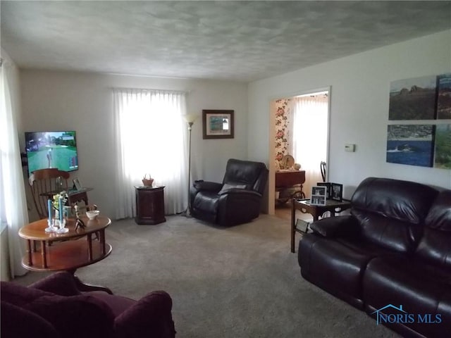 3440 Mapleway Dr, Toledo, OH 43614 - living area featuring carpet and a textured ceiling