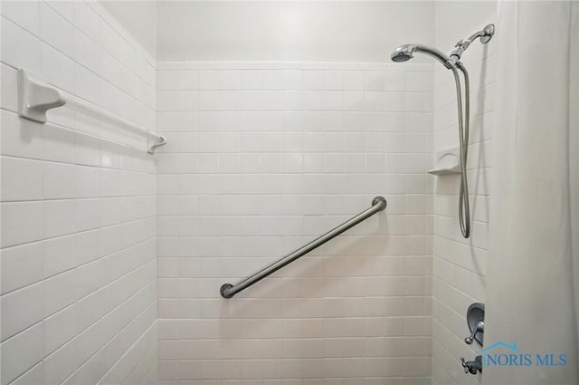 1110 Bourgogne Ave, Bowling Green, OH 43402 - bathroom with a tile shower
