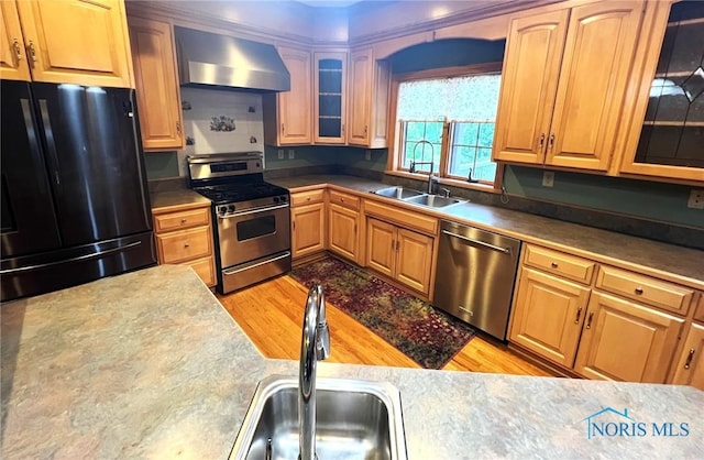 5506 Brookview Ln, Upper Sandusky, OH 43351 - kitchen featuring appliances with stainless steel finishes, wall chimney range hood, a sink, and light wood-type flooring