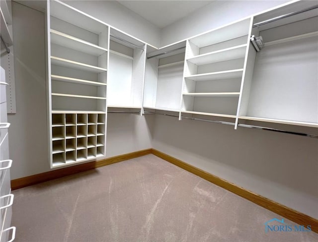 5506 Brookview Ln, Upper Sandusky, OH 43351 - walk in closet featuring carpet flooring