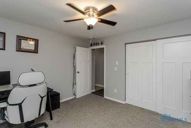 510 N Wintergarden Rd, Bowling Green, OH 43402 - home office with ceiling fan, carpet flooring, and baseboards
