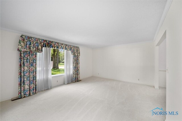 806 Woodstock Ct, Findlay, OH 45840 - empty room with carpet flooring and ornamental molding