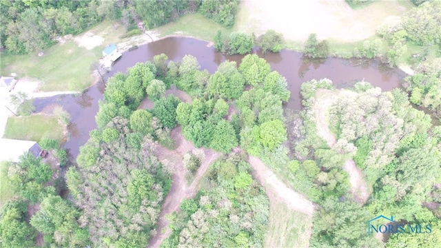5412 Evansport Rd, Defiance, OH 43512 - view of property location with a large body of water