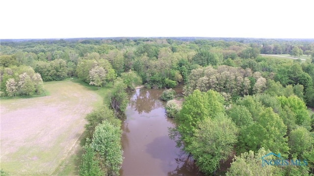 5412 Evansport Rd, Defiance, OH 43512 - aerial view of a large body of water and a heavily wooded area