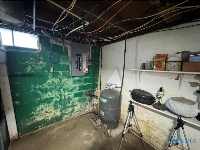 5412 Evansport Rd, Defiance, OH 43512 - basement featuring electric panel and a water pressure tank