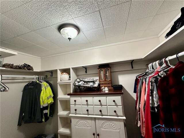 203 Washington St, Bettsville, OH 44815 - view of walk in closet