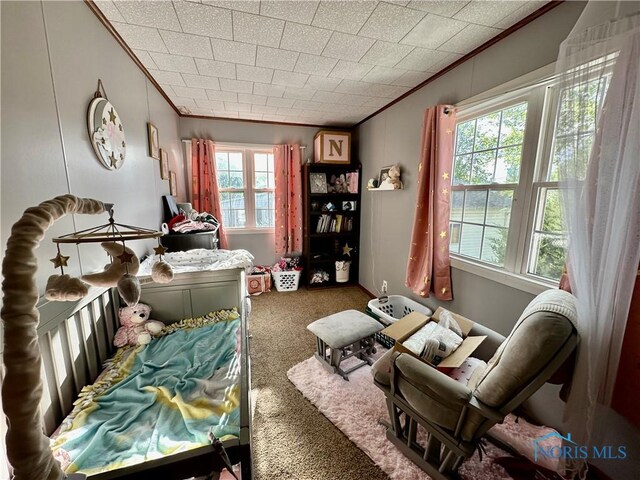 203 Washington St, Bettsville, OH 44815 - sitting room featuring ornamental molding, carpet floors, and healthy amount of natural light