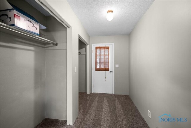 1473 State Route 66, Stryker, OH 43557 - hallway with carpet floors and a textured ceiling