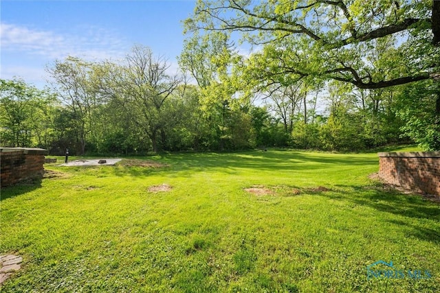 1473 State Route 66, Stryker, OH 43557 - view of grassy yard