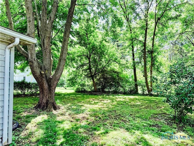348 S 8th St, Upper Sandusky, OH 43351 - view of grassy yard