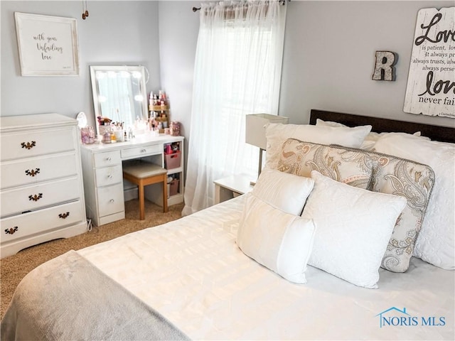 348 S 8th St, Upper Sandusky, OH 43351 - bedroom with carpet
