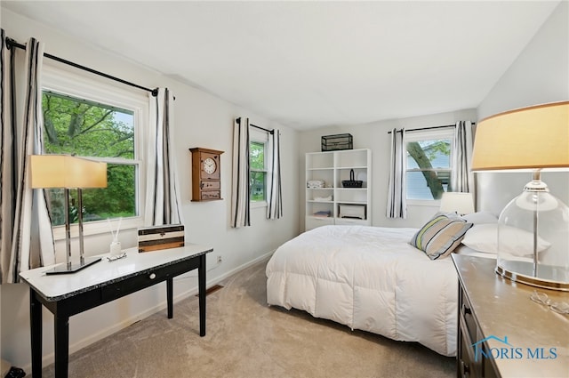 2009 Saratoga Dr, Findlay, OH 45840 - carpeted bedroom with multiple windows and baseboards