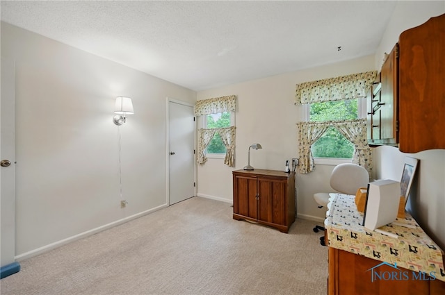 2009 Saratoga Dr, Findlay, OH 45840 - office space with healthy amount of natural light, light carpet, and baseboards