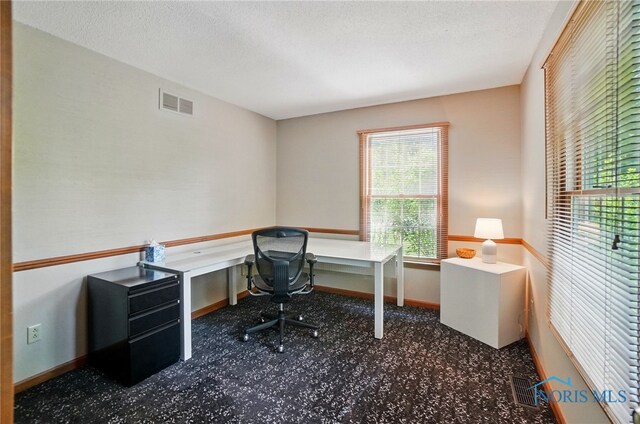 1301 Forest Park, Findlay, OH 45840 - office space featuring baseboards and a textured ceiling