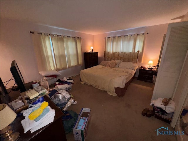 3634 Corey Rd, Toledo, OH 43615 - bedroom featuring multiple windows and carpet floors