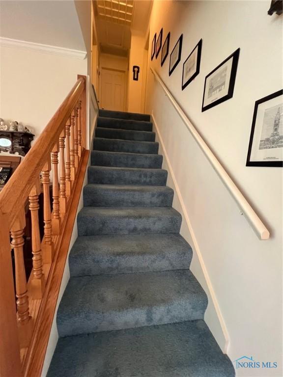 212 Duck Pond Rd, Upper Sandusky, OH 43351 - staircase featuring carpet floors, baseboards, and ornamental molding