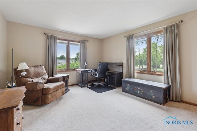 2142 Tracy Rd, Northwood, OH 43619 - carpeted office with plenty of natural light