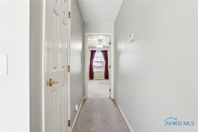 209 E Sawmill Rd, Findlay, OH 45840 - corridor featuring light colored carpet and baseboards