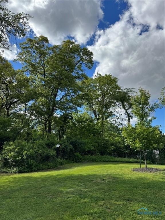 5243 Flanders Rd, Toledo, OH 43623 - view of grassy yard