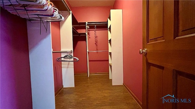 12327 Buckeye Dr, Paulding, OH 45879 - view of spacious closet