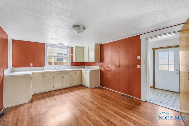 446 Center St, Findlay, OH 45840 - kitchen with light wood-type flooring, a textured ceiling, light countertops, and a sink