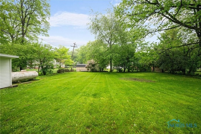 4550 W Sylvania Ave, Toledo, OH 43623 - view of grassy yard