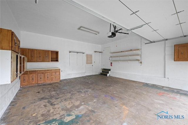 4550 W Sylvania Ave, Toledo, OH 43623 - garage with a garage door opener