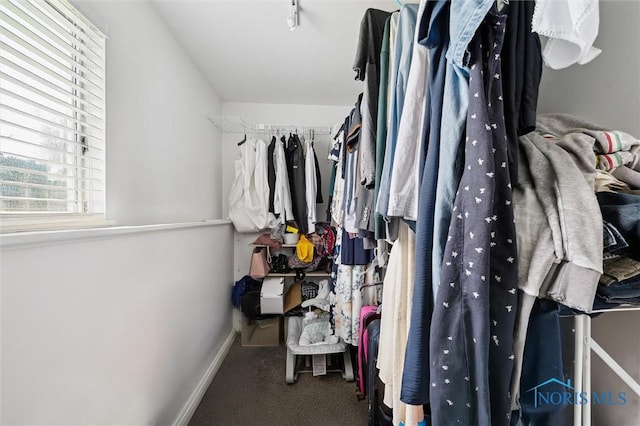 513 Bay River Ct, Maumee, OH 43537 - spacious closet with carpet floors