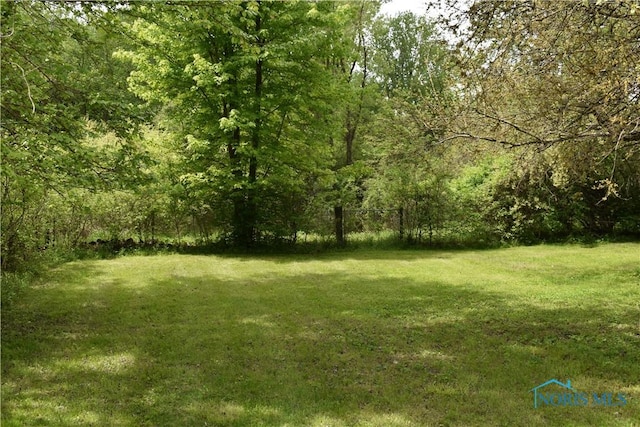 4260 S Eber Rd, Monclova, OH 43542 - view of green lawn featuring a view of trees