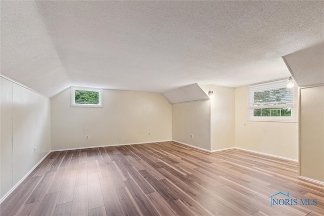 21265 State Route 2, Archbold, OH 43502 - bonus room with a textured ceiling, wood finished floors, baseboards, and lofted ceiling