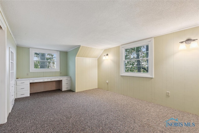 21265 State Route 2, Archbold, OH 43502 - additional living space with dark colored carpet, plenty of natural light, a textured ceiling, and wood walls