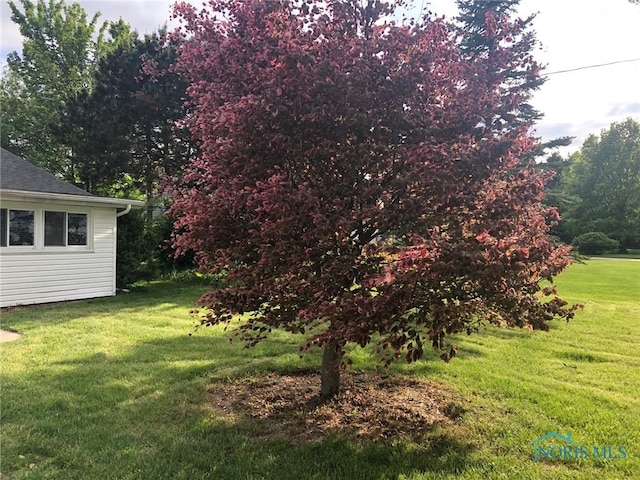 5151 Keller Rd, Walbridge, OH 43465 - view of green lawn