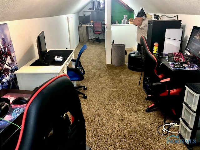 5151 Keller Rd, Walbridge, OH 43465 - carpeted office space featuring vaulted ceiling and a textured ceiling