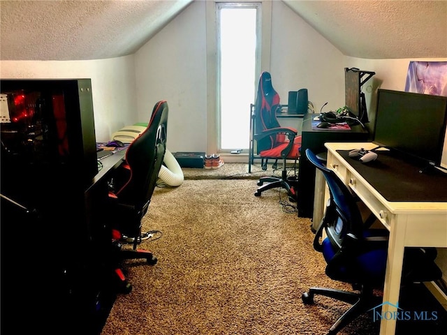 5151 Keller Rd, Walbridge, OH 43465 - home office with a textured ceiling, plenty of natural light, carpet, and vaulted ceiling