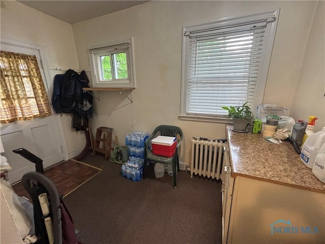 181 Osborne St, Rossford, OH 43460 - interior space featuring radiator and carpet flooring