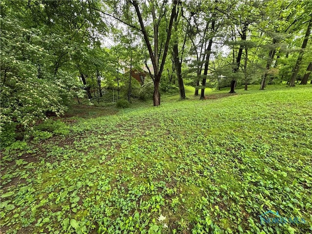 1226 Champe Rd, Toledo, OH 43615 - view of yard