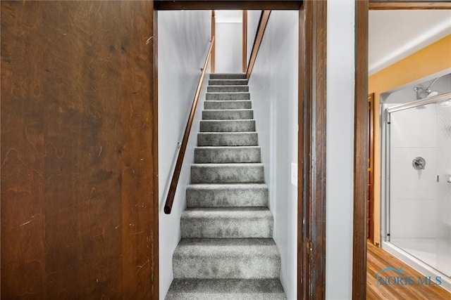 503 Church St, Helena, OH 43435 - view of stairway