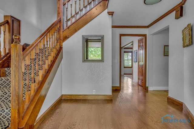 26260 Carrington Blvd, Perrysburg, OH 43551 - photo 4