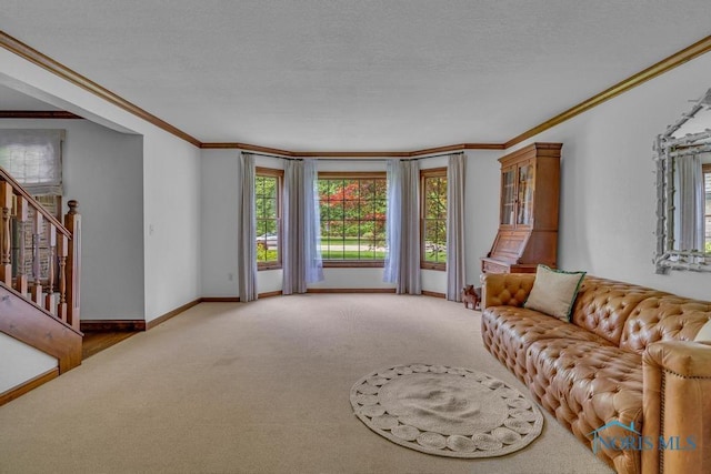26260 Carrington Blvd, Perrysburg, OH 43551 - photo 22