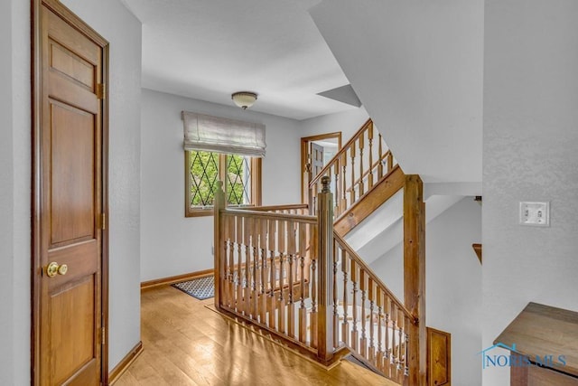26260 Carrington Blvd, Perrysburg, OH 43551 - photo 25