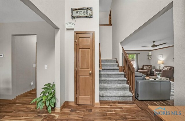 10632 Shayni Ln, Whitehouse, OH 43571 - photo 8