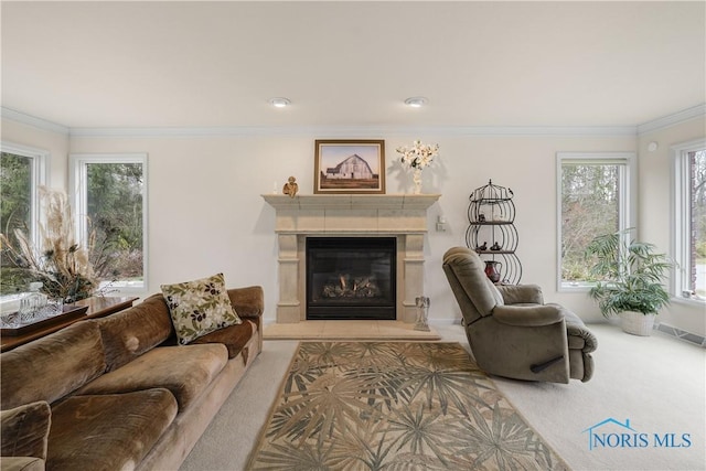 8801 W Bancroft St, Toledo, OH 43617 - living area with carpet flooring, ornamental molding, a glass covered fireplace, and baseboards