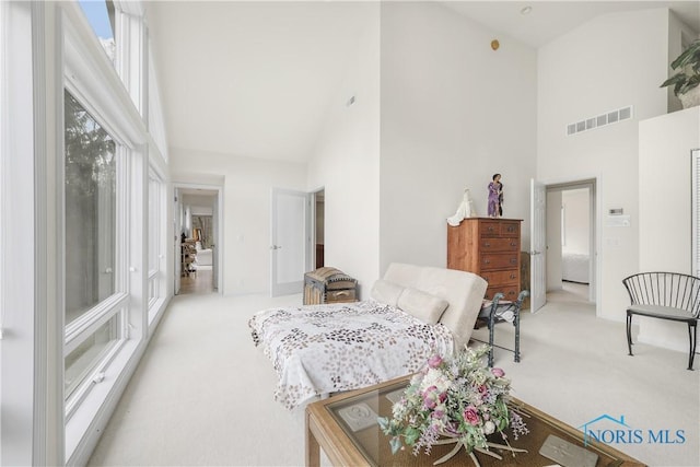 8801 W Bancroft St, Toledo, OH 43617 - bedroom with high vaulted ceiling and carpet floors