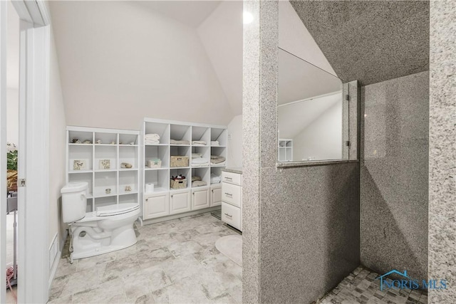8801 W Bancroft St, Toledo, OH 43617 - bathroom featuring toilet, vaulted ceiling, and a walk in closet