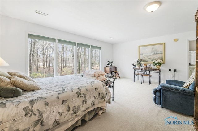 8801 W Bancroft St, Toledo, OH 43617 - view of carpeted bedroom