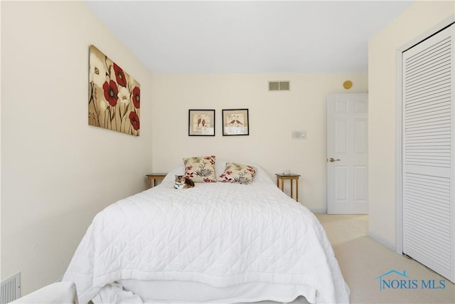 8801 W Bancroft St, Toledo, OH 43617 - bedroom with a closet and carpet floors
