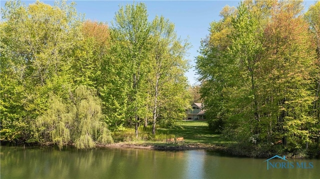 8801 W Bancroft St, Toledo, OH 43617 - water view with a forest