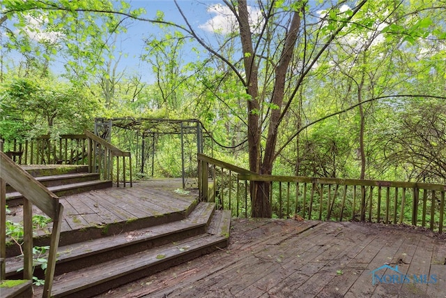 1250 Hidden Ridge Rd, Toledo, OH 43615 - view of wooden terrace