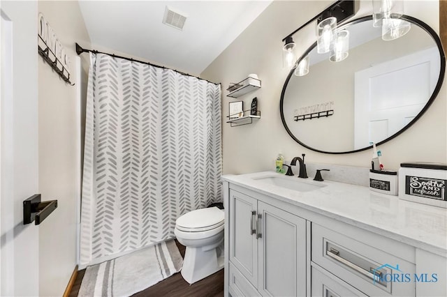 640 Hemlock St, Wauseon, OH 43567 - bathroom featuring vanity, wood finished floors, and a shower with curtain